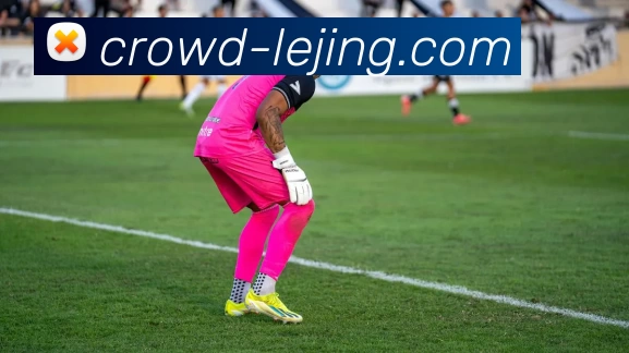 乐竞体育APP 体育赛事宣传图